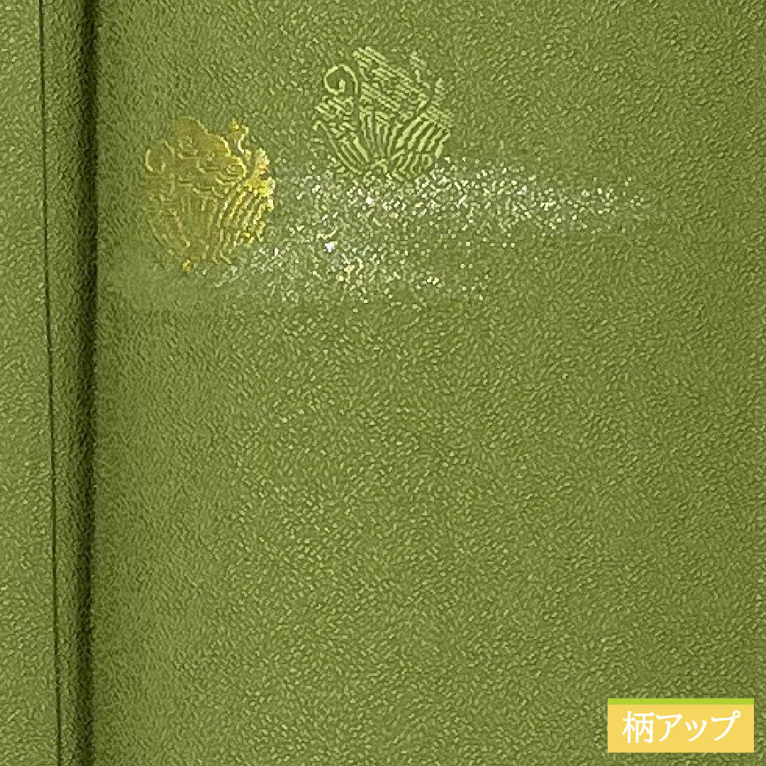 Plain color, pure silk, length 164.5cm, sleeve length 65cm, green robe embroidery, one crest, swallowtail butterfly, lined, S rank, green, 1114002012419