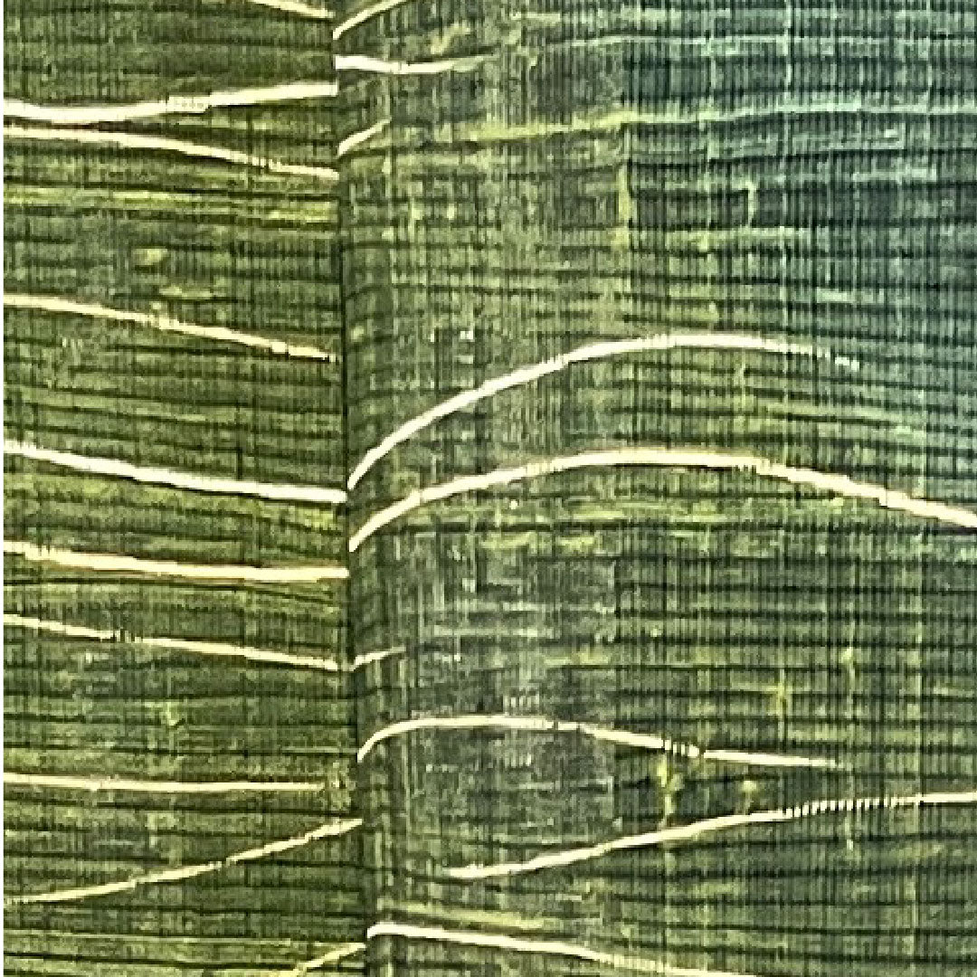 Summer pure silk formal kimono, length 160cm, sleeve length 65cm, dark green, abstract pattern, pongee fabric, S rank, green 1132000572419