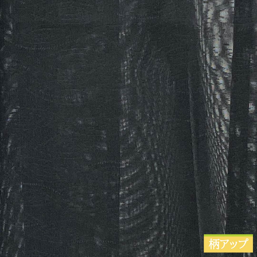 夏物 正絹 色無地 Bランク 身丈154cm 裄丈61.5cm 抽象模様 紗 黒系 1132004274210