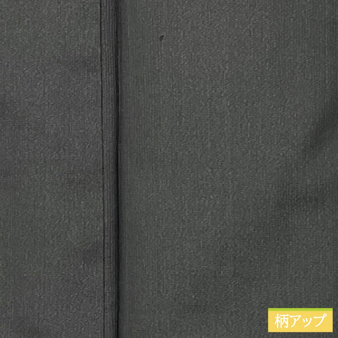 男物 正絹 Sランク 身丈128.5cm 裄丈62.5cm  薄黒色（うすぐろいろ） 紬地 袷 グレー系 1119001112222