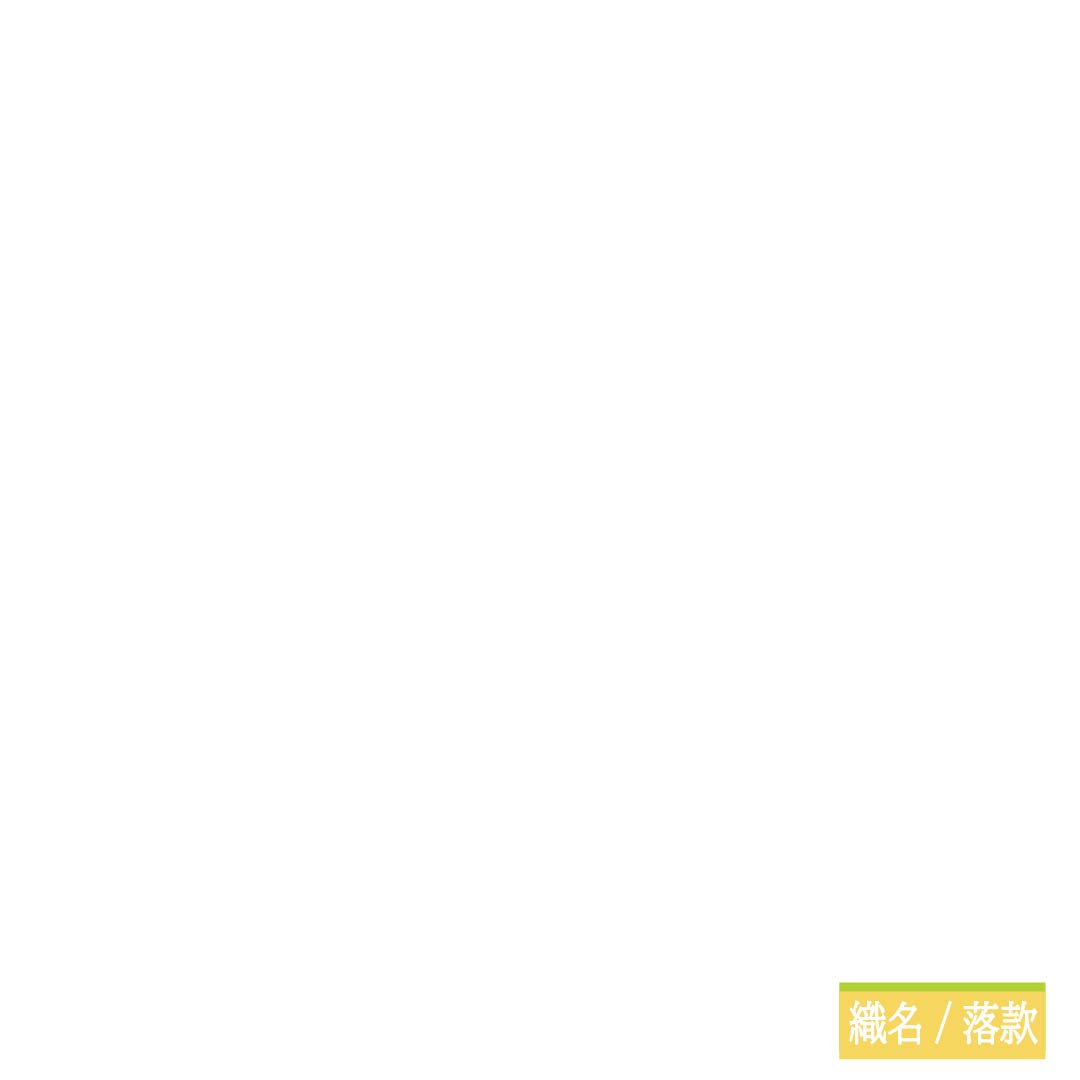【未仕立】袋帯 正絹 NEWランク 白鼠色（しろねずいろ） 猫 黒猫 蝶  帯丈470cm ポイント柄 カジュアル 白系 1123011721411