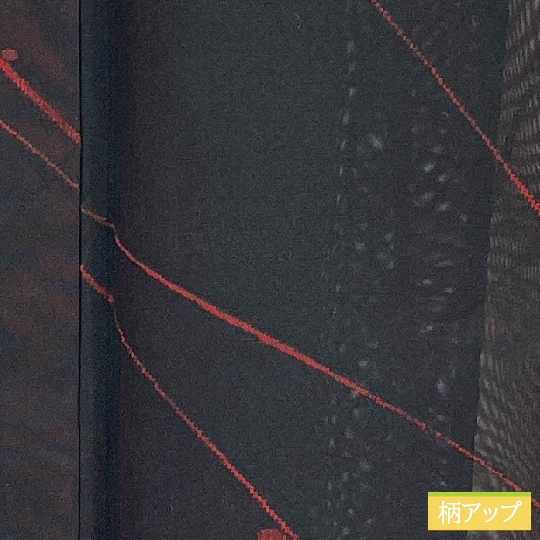 Summer pure silk komon length 165.5cm sleeve length 66.5cm branch fruit gauze S rank black 1132001992510