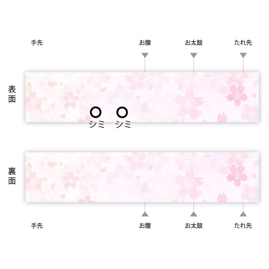Fukuro Obi for Furisode, Plum, Bamboo, Length 422cm, Pure Silk, A Rank, Six-way, Formal, Black, 1123003443310