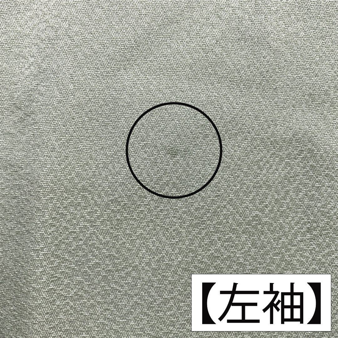 訪問着 正絹 袷 身丈161cm 裄丈66.5cm 青白磁色（せいはくじいろ） 京友禅 吉祥文様 Sランク 水色系 1112005792424