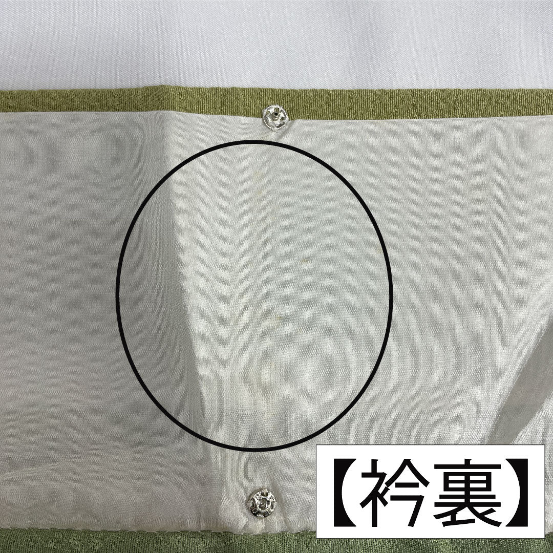 訪問着 正絹 袷 身丈162cm 裄丈62.5cm 薄柳色（うすやなぎいろ） 辻ヶ花 ちりめん地 重ね衿付き しつけ糸付き Sランク 緑系 1112005202419