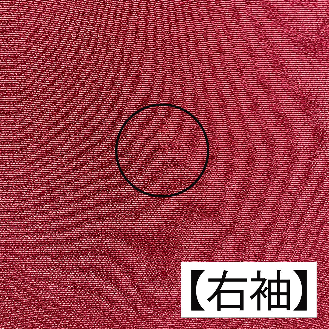 訪問着 正絹 袷 身丈163.5cm 裄丈64.5cm 臙脂色（えんじいろ） 辻ヶ花 Aランク 赤系 1112005823412