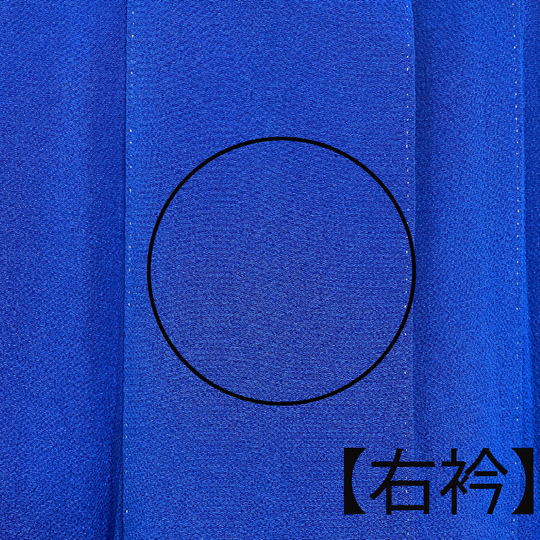 訪問着 袷 身丈163cm 裄丈68cm 瑠璃紺色 桜 菊 椿 正絹 Aランク 青系 1112001683417