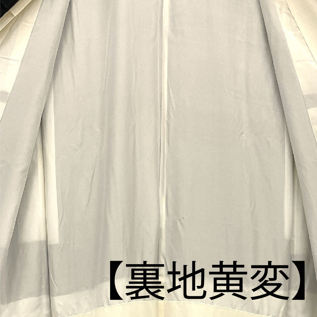 Black Tomesode, Length 155.5cm, Sleeve Length 61.5cm, Awase, Kyo-Yuzen, Crane, Katabami, Pure Silk, B Rank, Five Crests, Black, 1111000344310