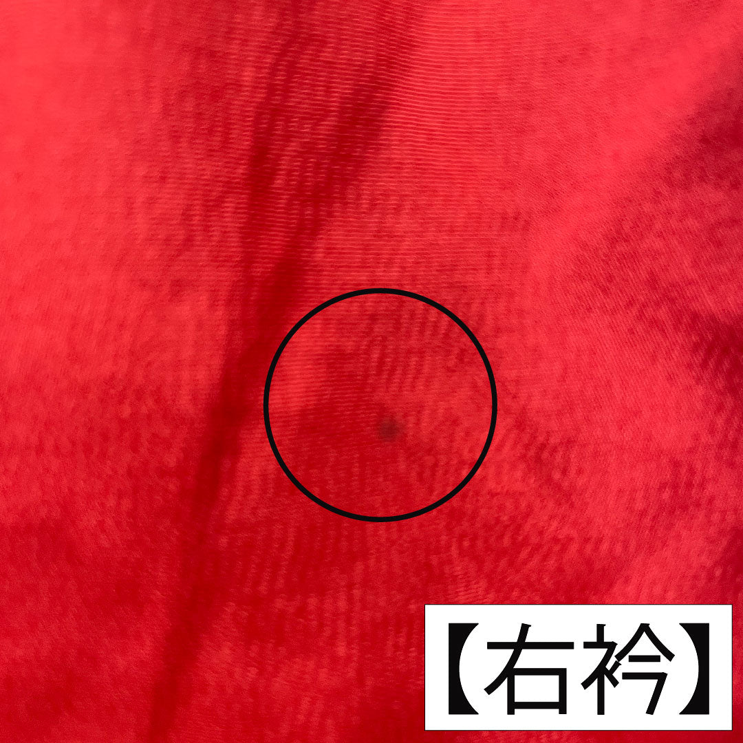 振袖 正絹 身丈161.5cm 裄丈62.5cm 袷 土耳古赤色（とるこあかいろ） 吉祥文様 Aランク 赤系 1113002023412