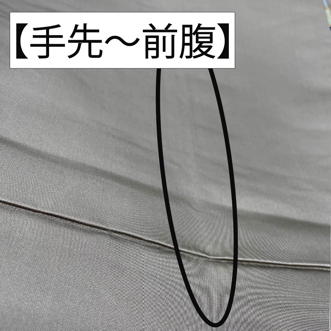 袋帯 正絹 消炭鼠色（けしずみねずみいろ） 留袖用 白綾苑大庭 華文 振袖用 帯丈442cm Sランク 六通 フォーマル グレー系 1123014162322