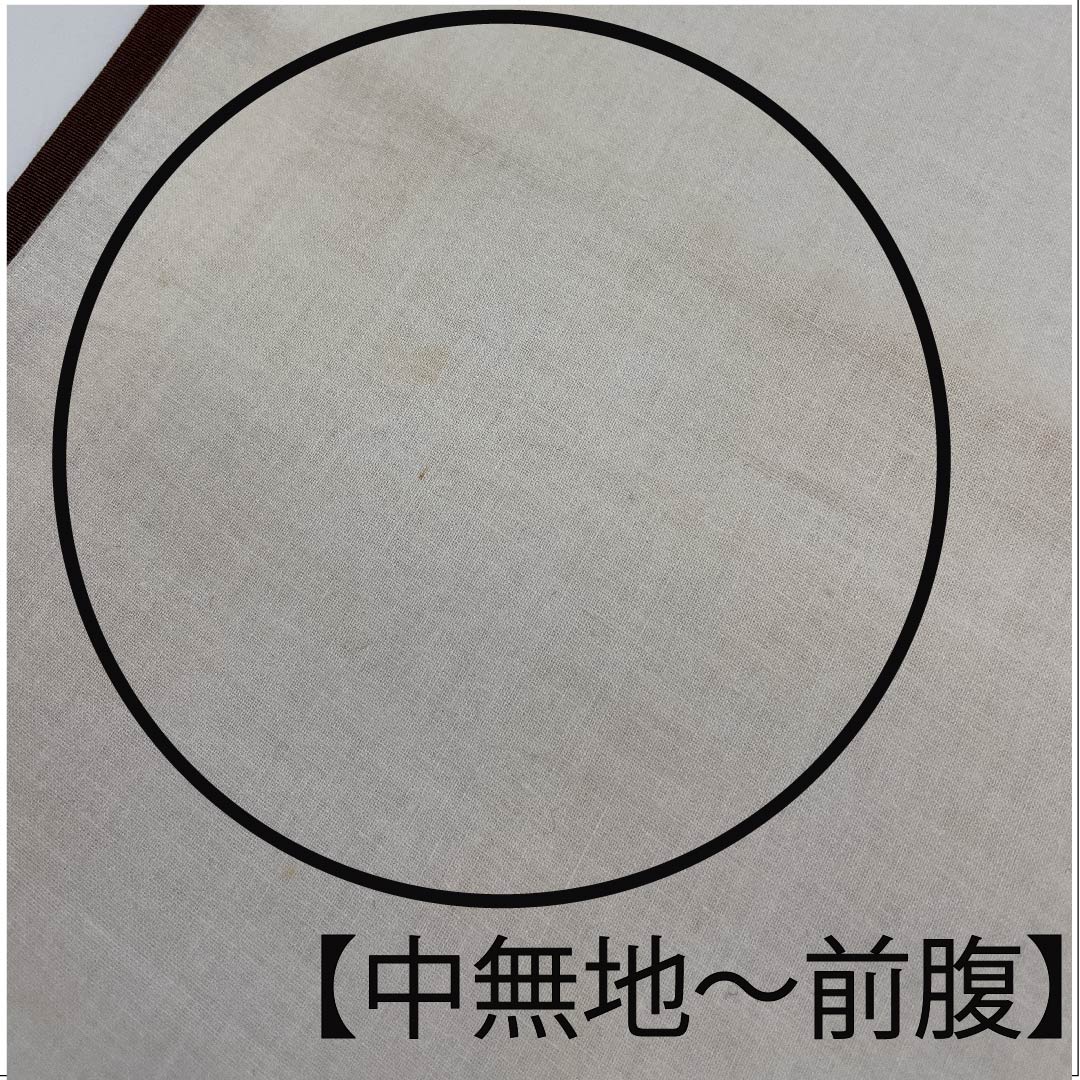 Nagoya obi, boiled black color, Shiose, floral pattern, dyed obi, obi length 375cm, pure silk, A rank, point pattern, semi-formal, brown, 1124003543314, Nagoya style