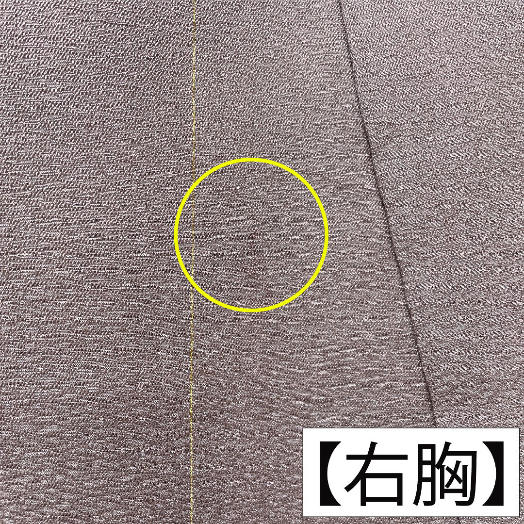 小紋 正絹 身丈161.5cm 裄丈63.5cm 袷 半色（はしたいろ） Bランク 紫系 1115004754420