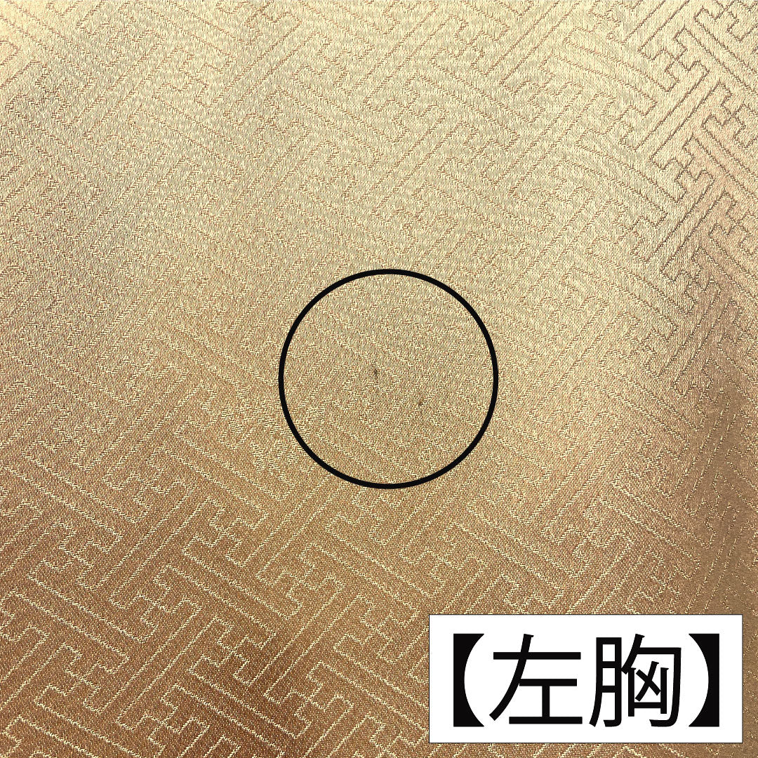 訪問着 正絹 袷 身丈165.5cm 裄丈66.5cm 朱華色（はねずいろ） 京友禅 吉祥文様 Aランク 橙系 1112004623526