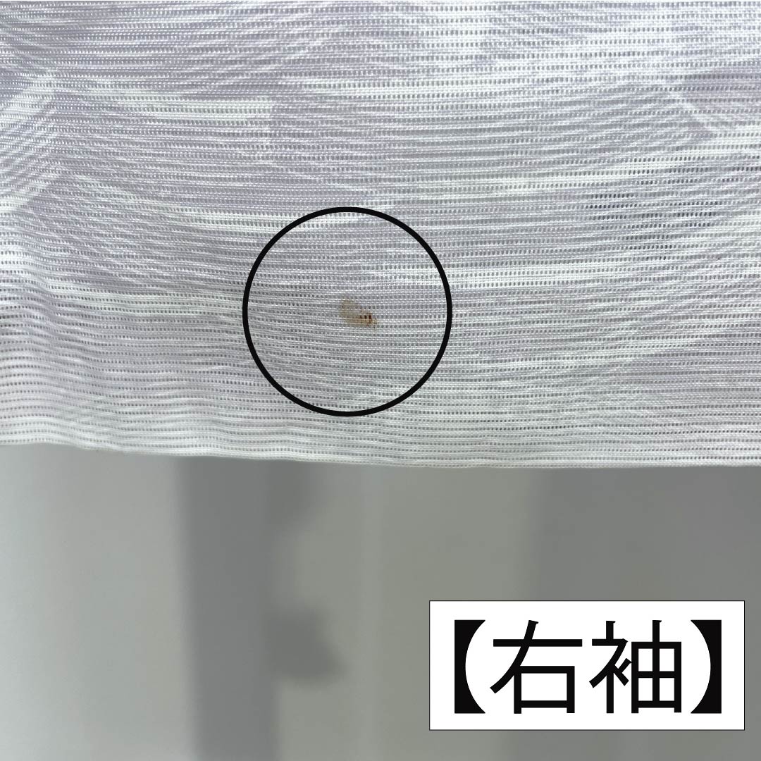 夏物 ポリエステル 小紋 身丈160cm 裄丈65cm 霞色（かすみいろ） 撫子 波 洗える着物 絽 Bランク グラデーション系 1132002454499