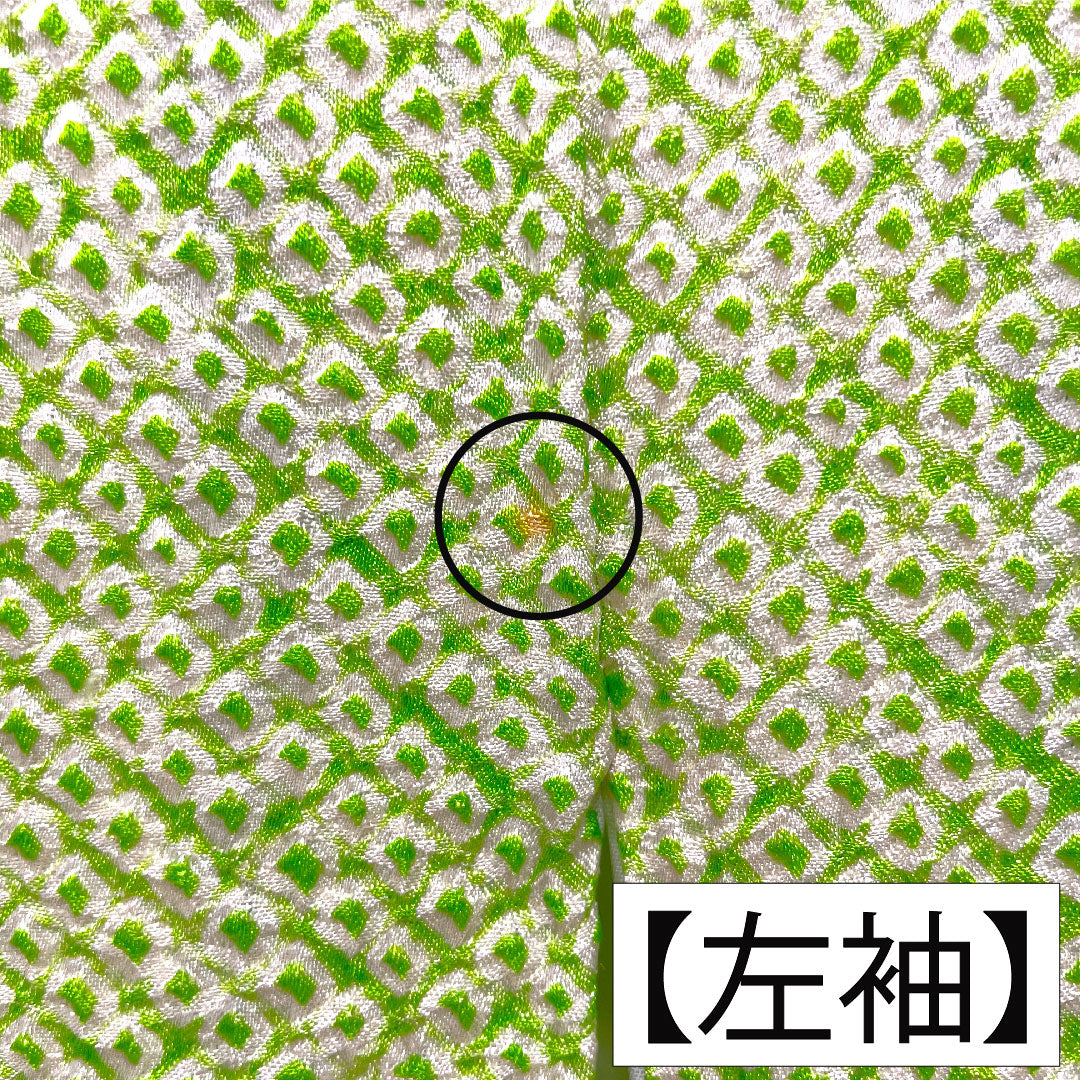 訪問着 正絹 袷 身丈165.5cm 裄丈63.5cm 黄緑色（きみどりいろ） 総絞り しつけ糸付き Aランク 緑系 1112005093519