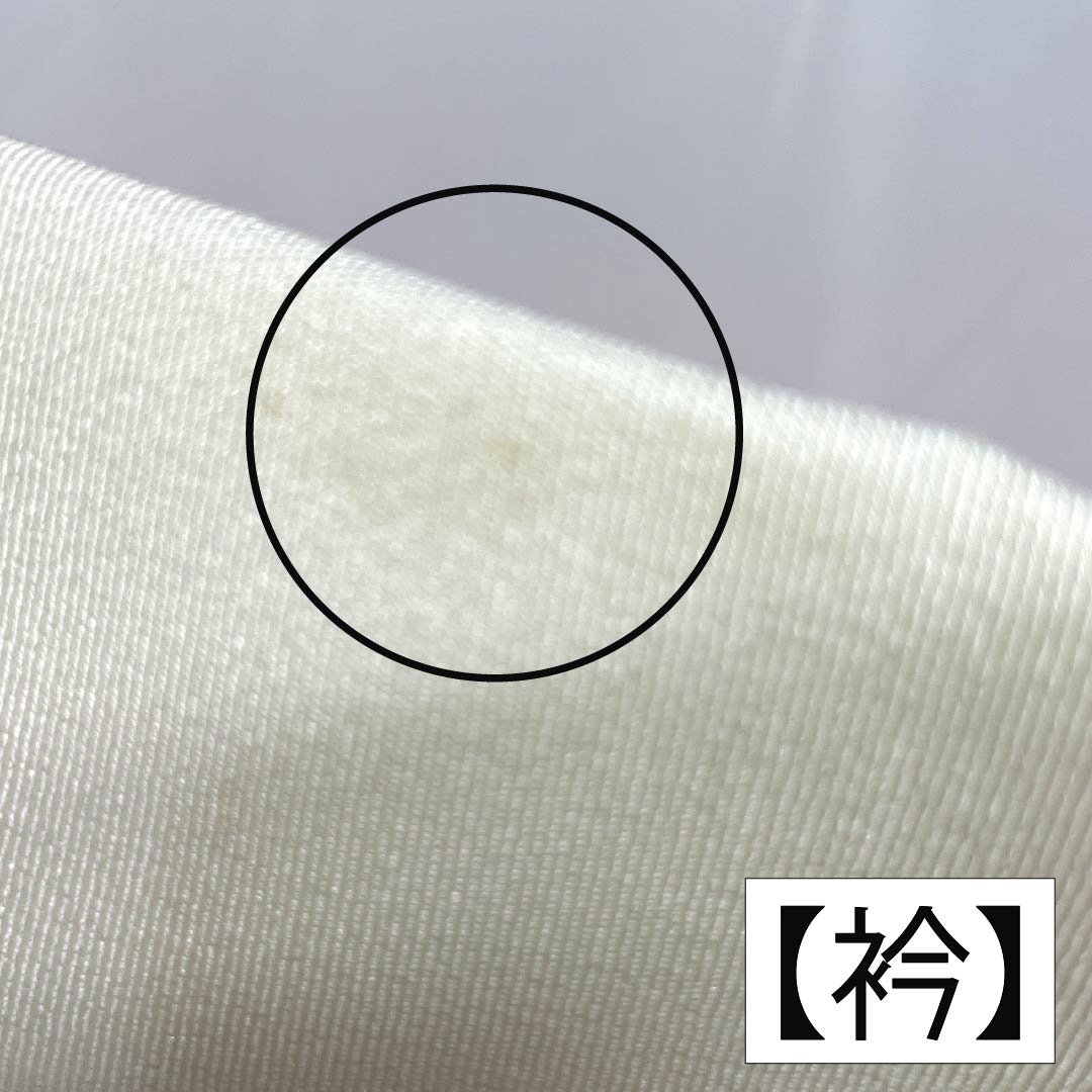 Nagajuban Silk S Rank Body Length 133cm Sleeve Length 66cm Unlined Blended Dye Sakura With Haneri Gradation 1129000732499