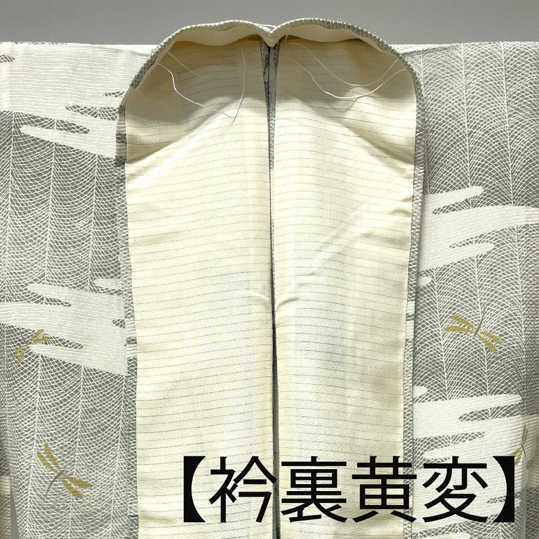 夏物 正絹 小紋 身丈155cm 裄丈62cm 乳白色（にゅうはくしょく） トンボ 道長取り 絽 Sランク クリーム系 1132000602315