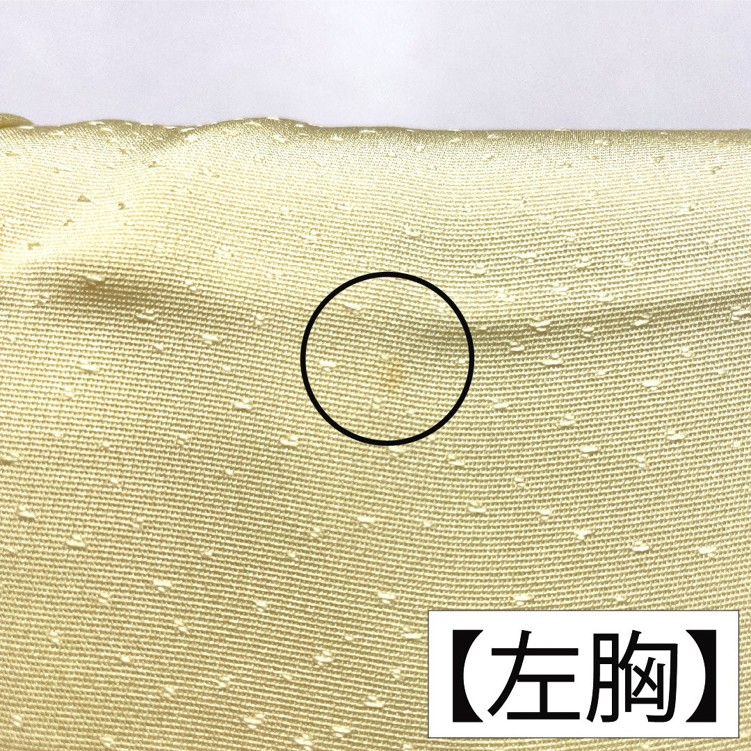 訪問着 正絹 袷 身丈156.5cm 裄丈63cm 淡黄色（たんこうしょく） 京友禅 草花模様 Aランク 黄系 1112005393323