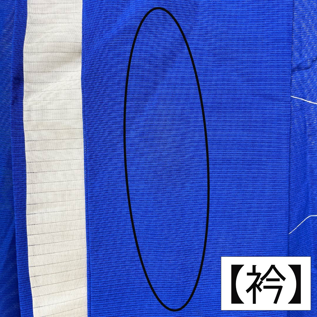 Summer Silk Homongi A-Rank, Length 157.5cm, Sleeve-to-Sleeve 64cm, Lapis Lazuli, Tsukesage, Floral Pattern, Kyo-Yuzen, Ro, Blue, 1132003753317