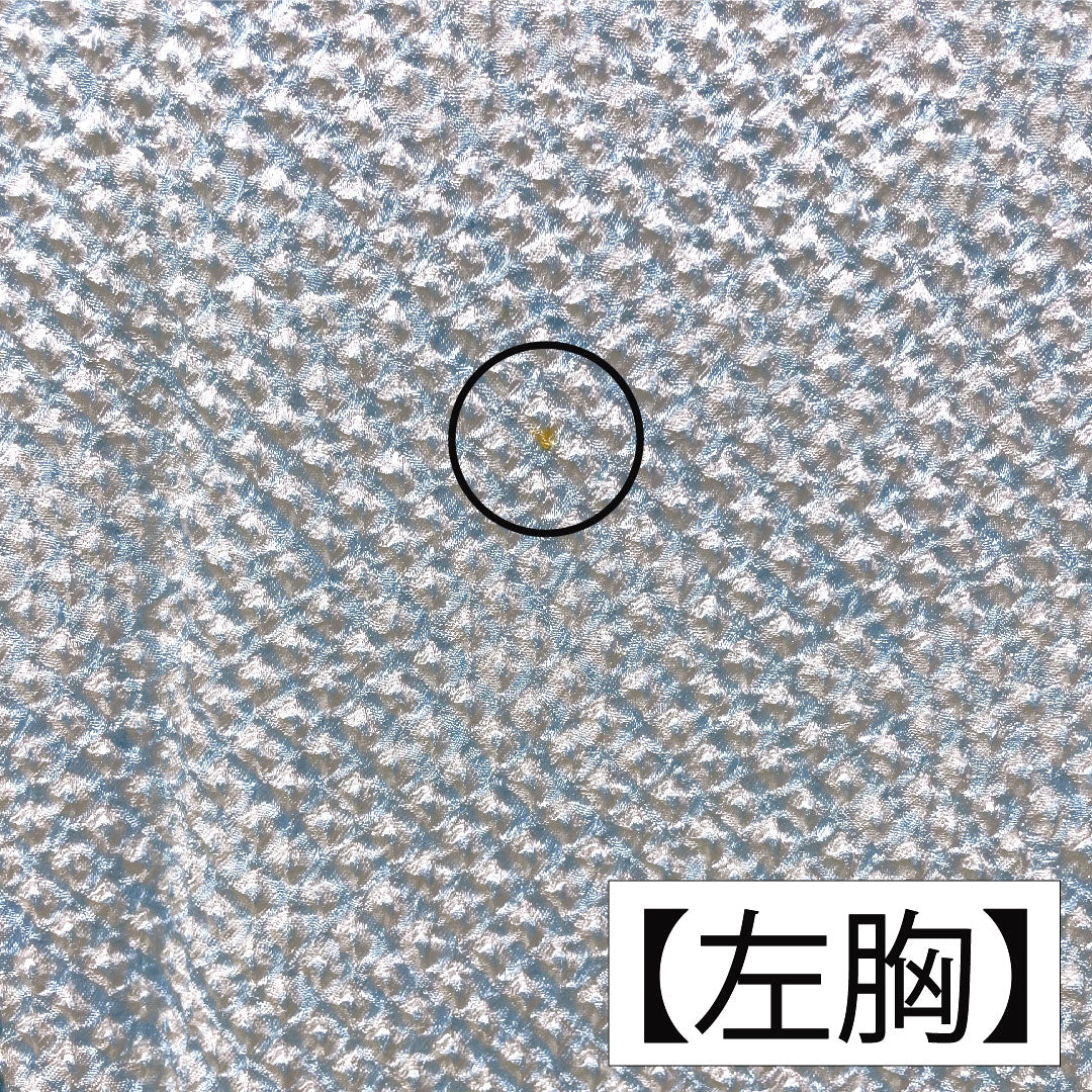 訪問着 正絹 袷 身丈159.5cm 裄丈64cm 藍白色（あいじろいろ） 総絞り 重ね衿付き Bランク 水色系 1112004824324