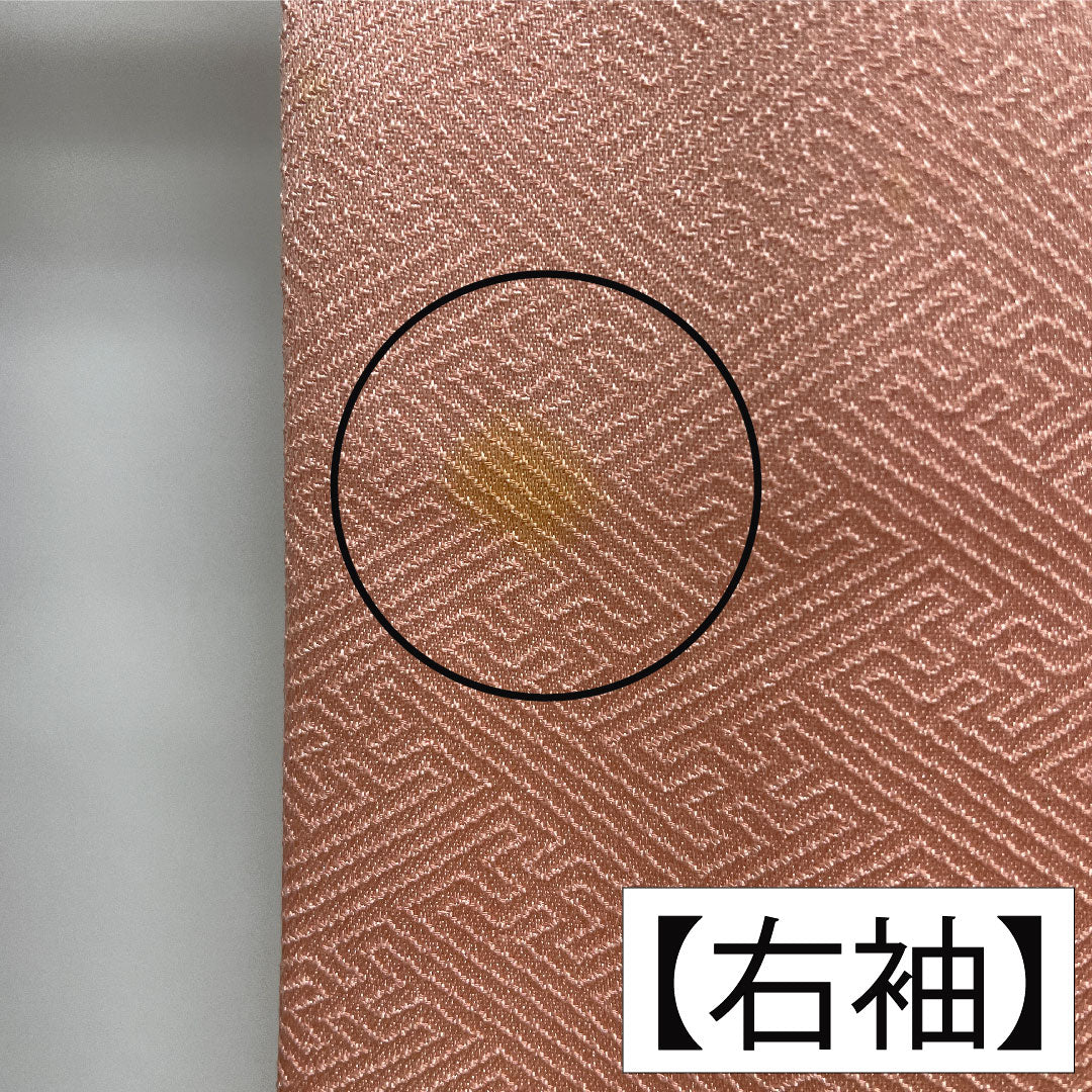 訪問着 正絹 袷 身丈161.5cm 裄丈65.5cm 薄紅梅色（うすこうばいいろ） 京友禅 吉祥文様 Bランク ピンク系 1112006004413