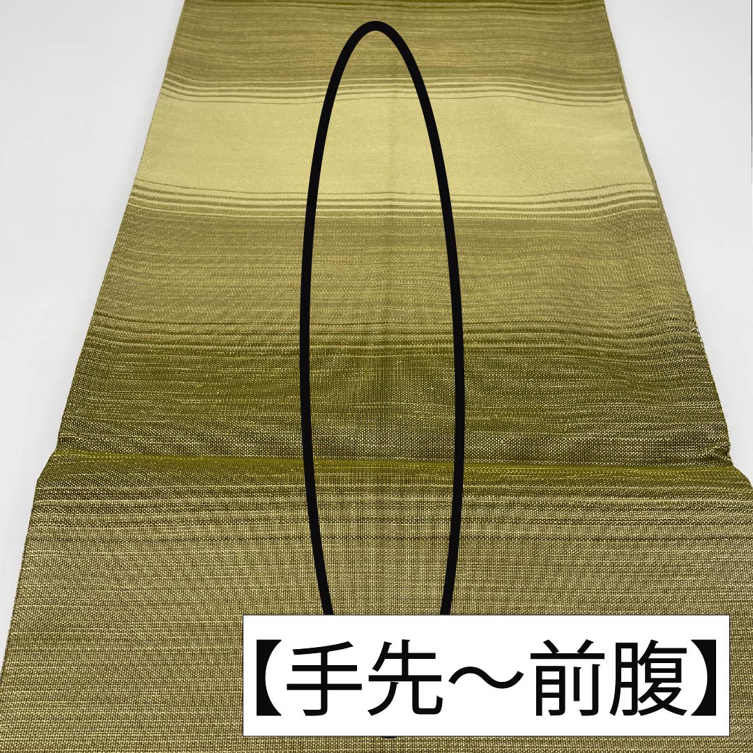 袋帯 正絹 裏柳色（うらやなぎいろ） 綴れ織 丸紋 帯丈442cm Sランク ポイント柄 セミフォーマル 緑系 1123014912319