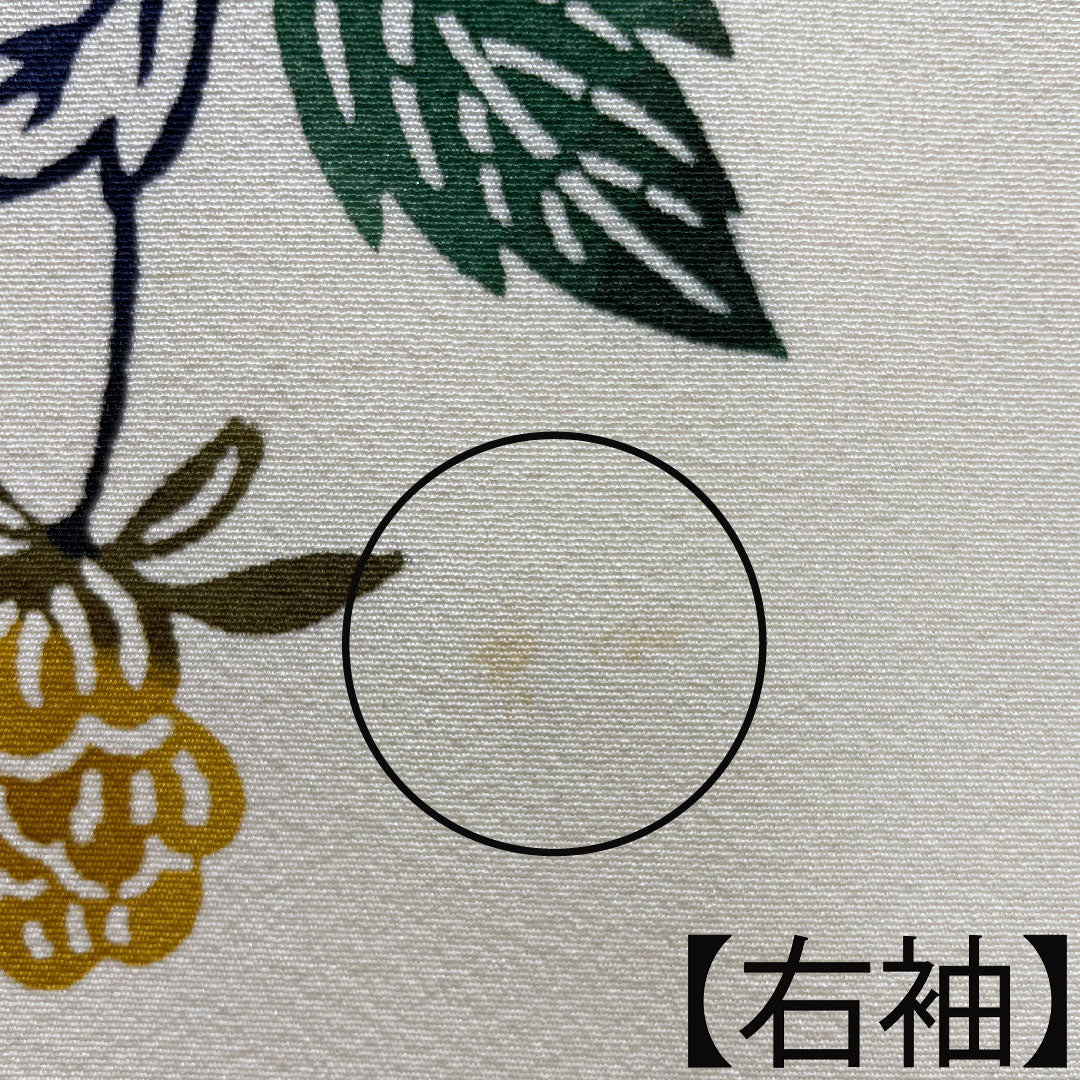 Komon, pure silk, length 160.5cm, sleeve length 63cm, lined, milky white, Kyoto Bingata, auspicious motif, A rank, cream color, 1115004063415