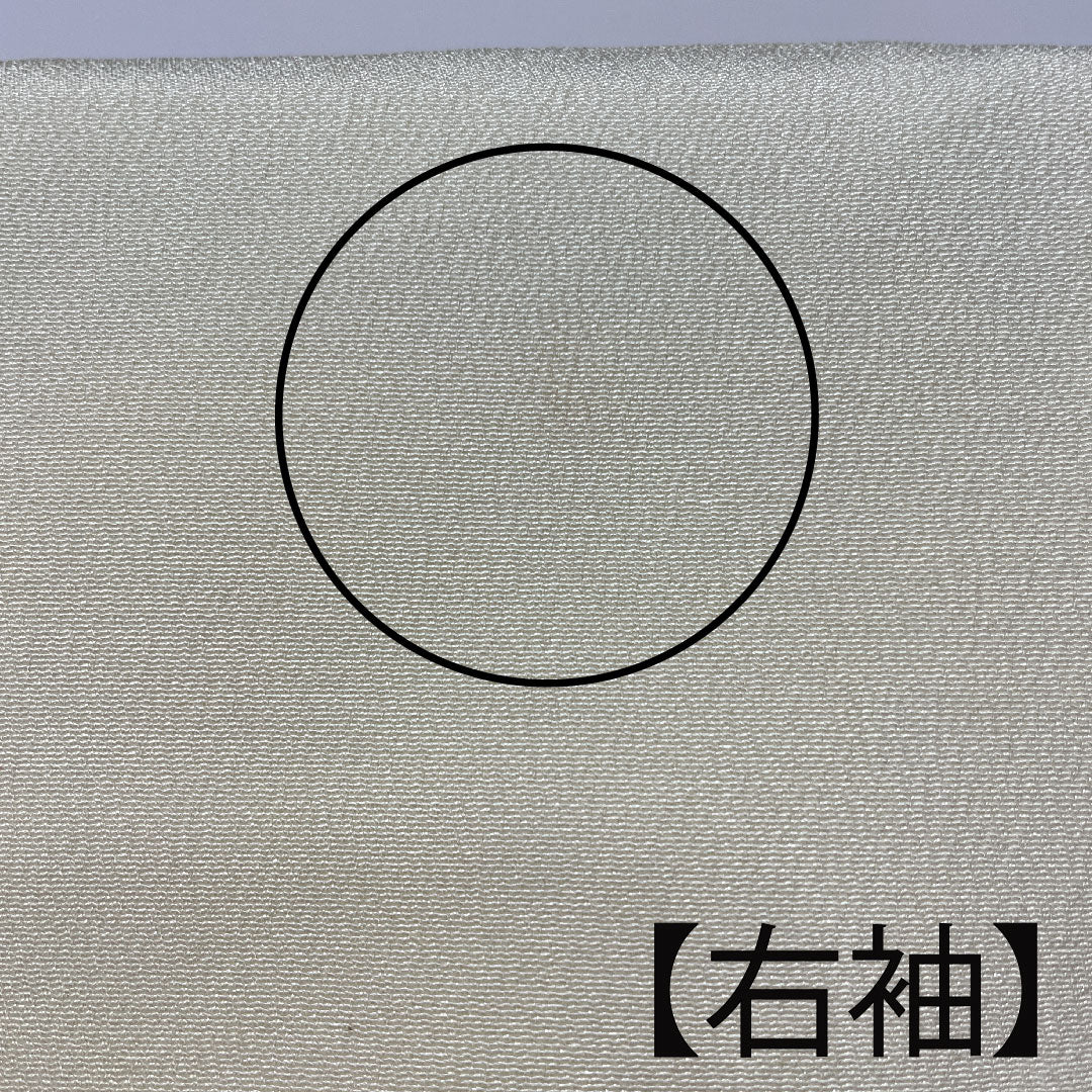 Homongi, lined, length 159cm, sleeve length 62.5cm, Torinoko color, Kyoto Bingata, floral pattern, pure silk, A rank, cream color, 1112001943315