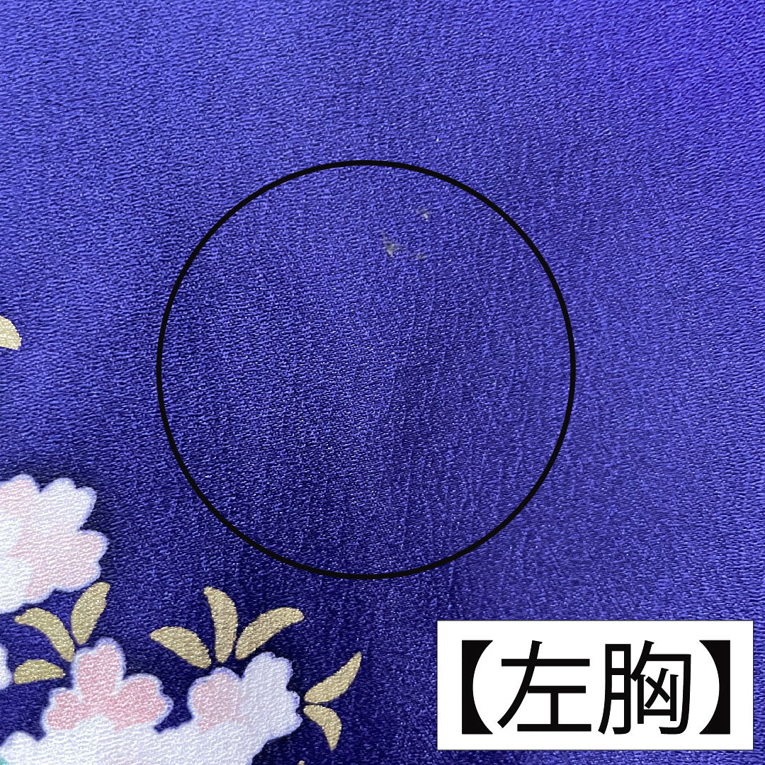 Homongi, pure silk, lined, length 165.5cm, sleeve length 67cm, Edo purple, Kyo-Yuzen, auspicious pattern, A rank, purple, 1112004143520