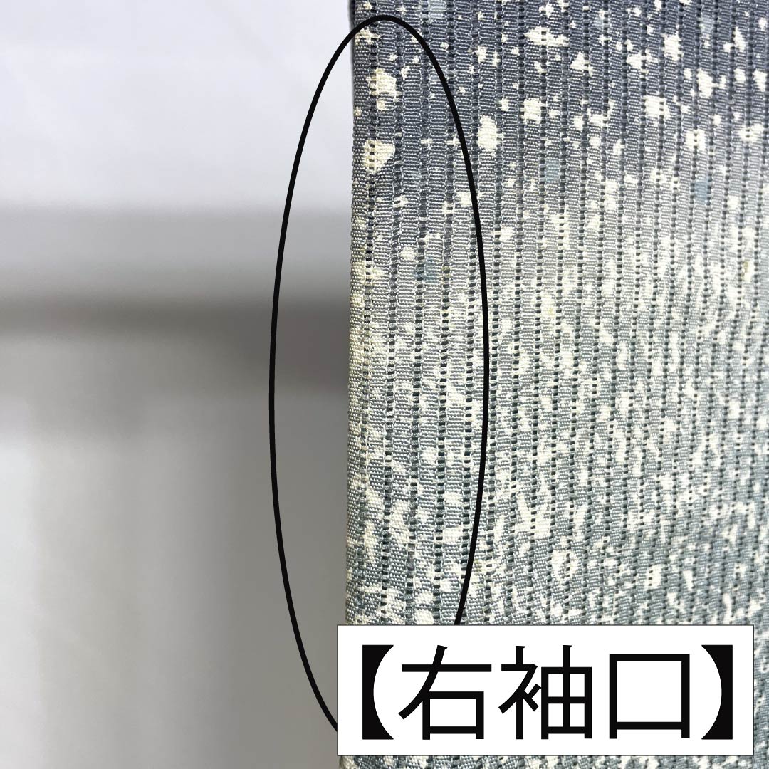 夏物 正絹 訪問着 Aランク 身丈161.5cm 裄丈66cm 浅葱鼠色（あさぎねずいろ） 竪絽 江戸小紋 タタキ染 絽 青系 1132005043417