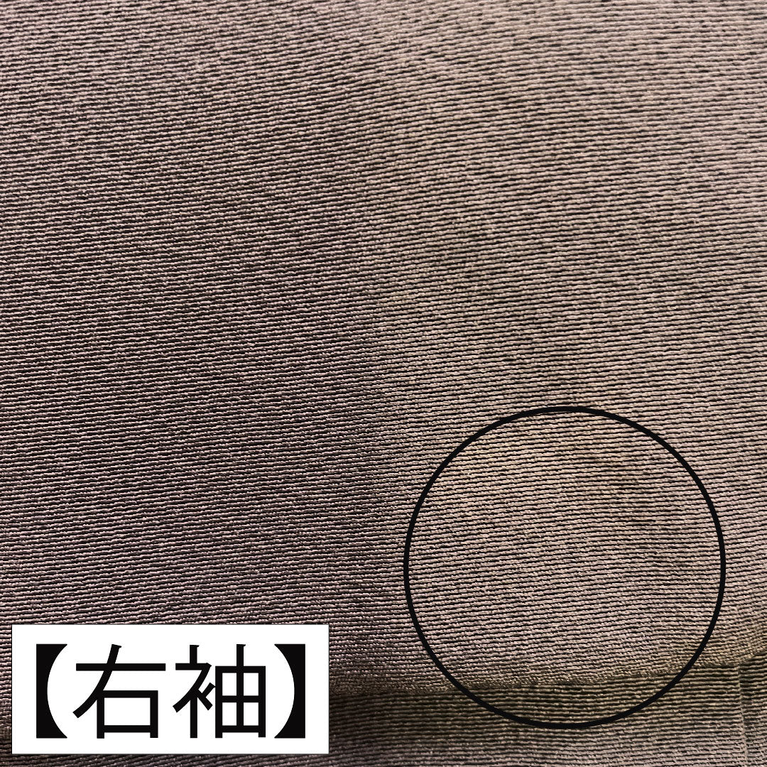 色留袖 正絹 身丈159.5cm 裄丈66cm 袷 紫烏色（しうしょく） 蘇州刺繡 吉祥文様 パールトーン加工 Aランク 紫系 1111001303320