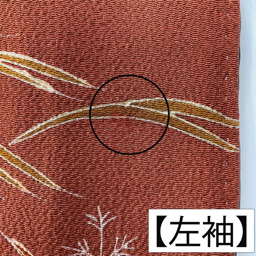 訪問着 正絹 袷 身丈165.5cm 裄丈65cm 弁柄色（べんがらいろ） 京友禅 茶屋辻風景模様 ちりめん地 Aランク 朱系 1112005923516