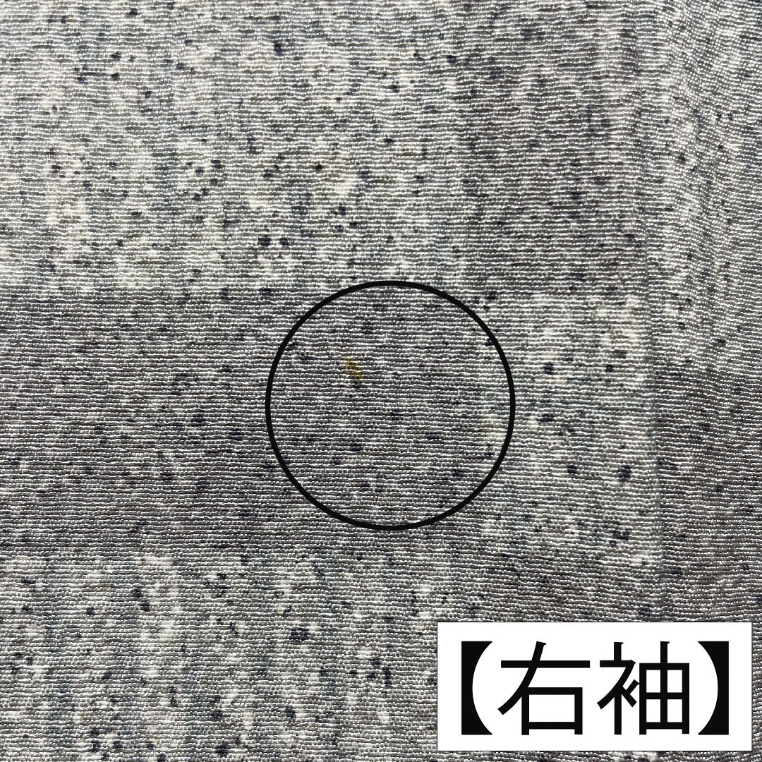 小紋 正絹 身丈151.5cm 裄丈62.5cm 袷 雲井鼠色（くもいねずいろ） 町家風景 幾何学模様 Aランク グレー系 1115004223222
