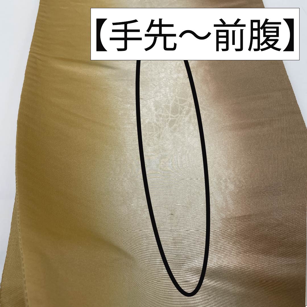 袋帯 正絹 枯野色（かれのいろ） 山菜 お茶席 帯丈438cm Sランク ポイント柄 カジュアル グラデーション系 1123012822399