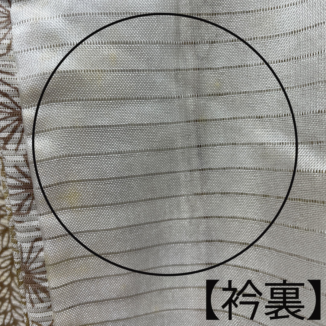 夏物 正絹 小紋 身丈161.5cm 裄丈61.5cm 乳白色（にゅうはくしょく） 菊 麻の葉 竹 絽 Aランク クリーム系 1132001333415