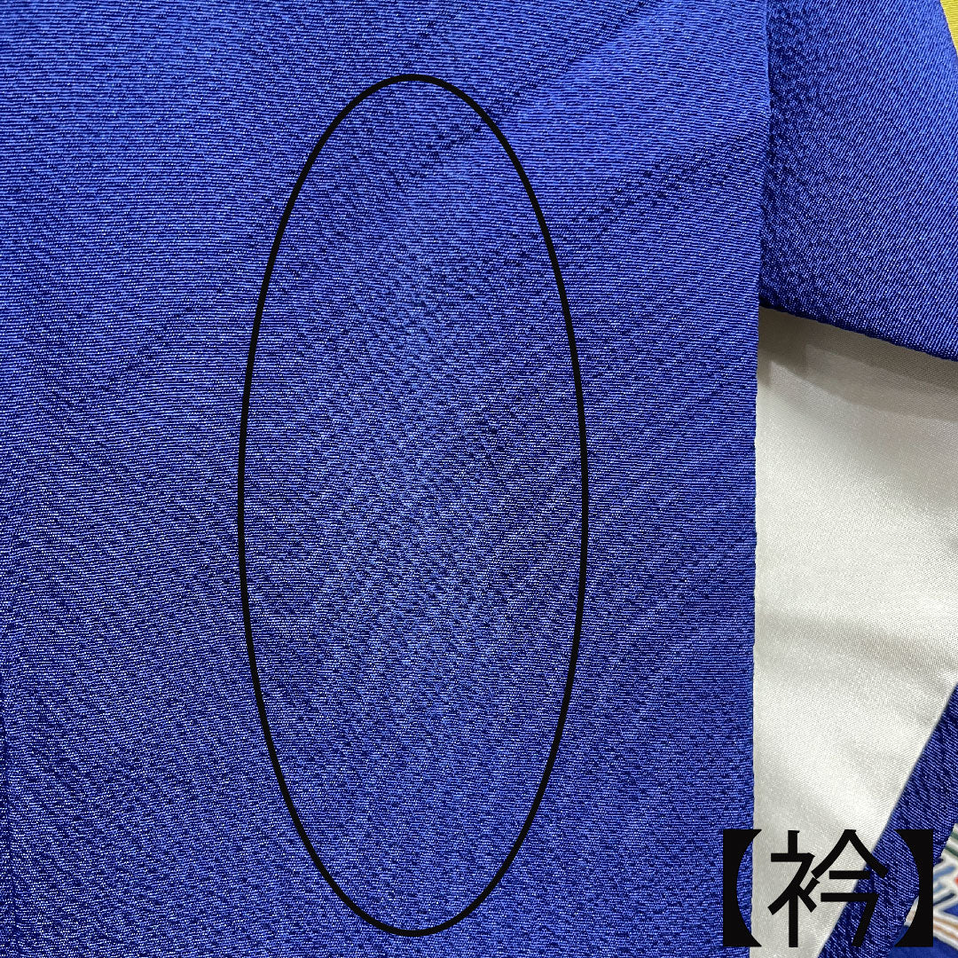 振袖 身丈167.5cm 裄丈68cm 袷  瑠璃色 京紅型 吉祥文様  正絹 Aランク 紺系 1113001773518