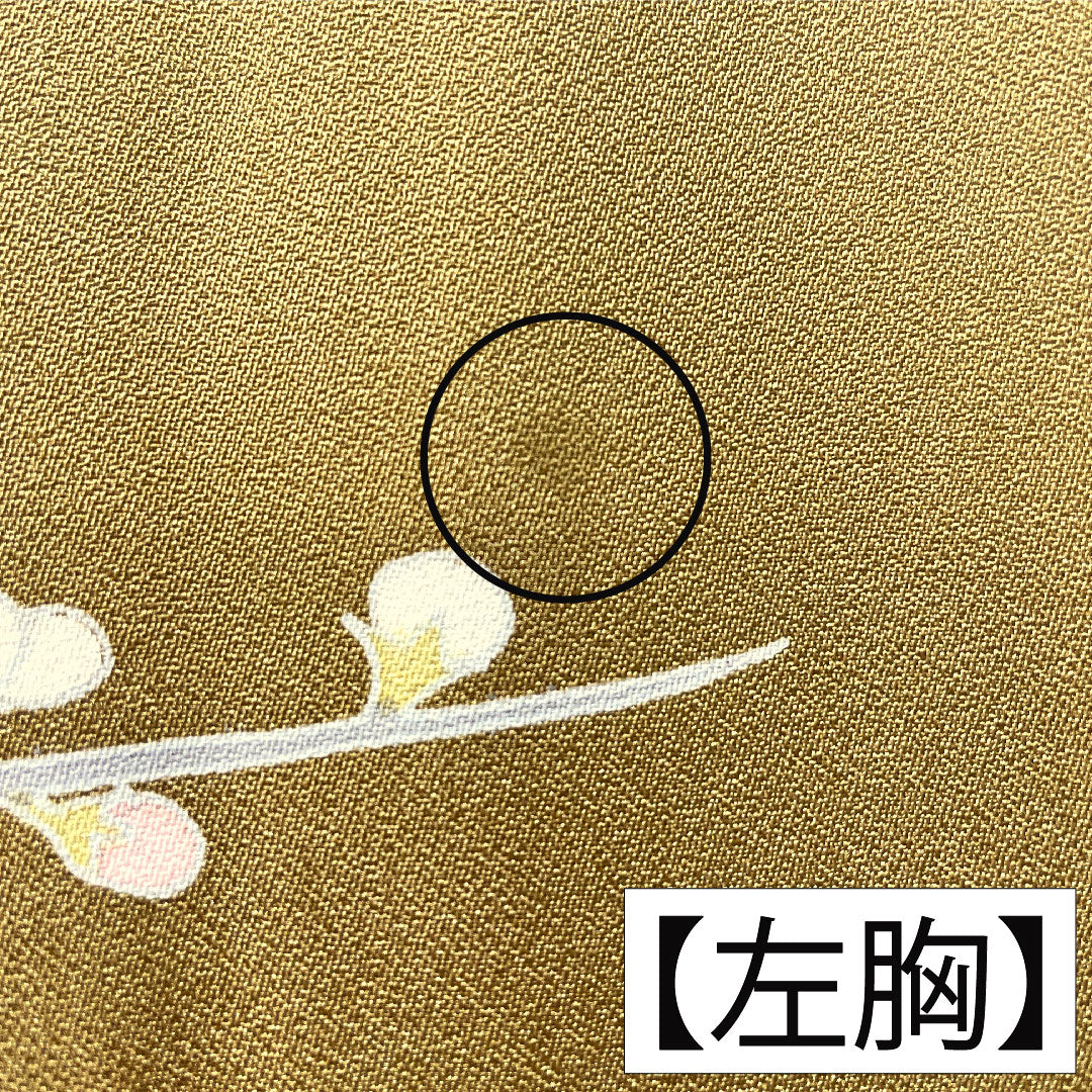 訪問着 正絹 袷 身丈163.5cm 裄丈63.5cm 黄土色（おうどいろ） 京友禅 草花模様 Aランク 黄系 1112005683423