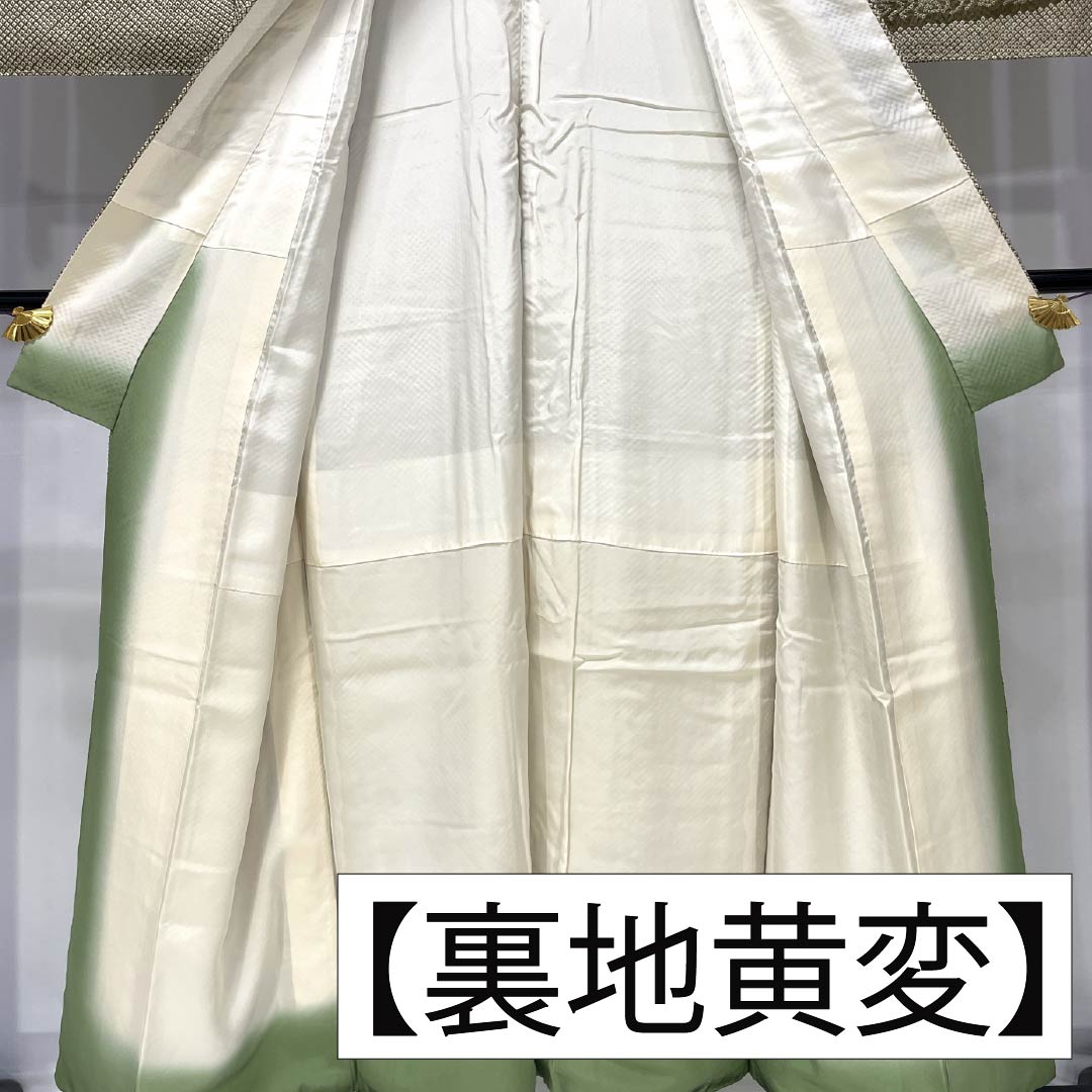 Homongi (formal formal wear), pure silk, A-rank, lined, length 153cm, sleeve length 62.5cm, Senzai-chairo (Chrysanthemum and Flowing Water) pattern, with basting threads, green, product number 1112006753219