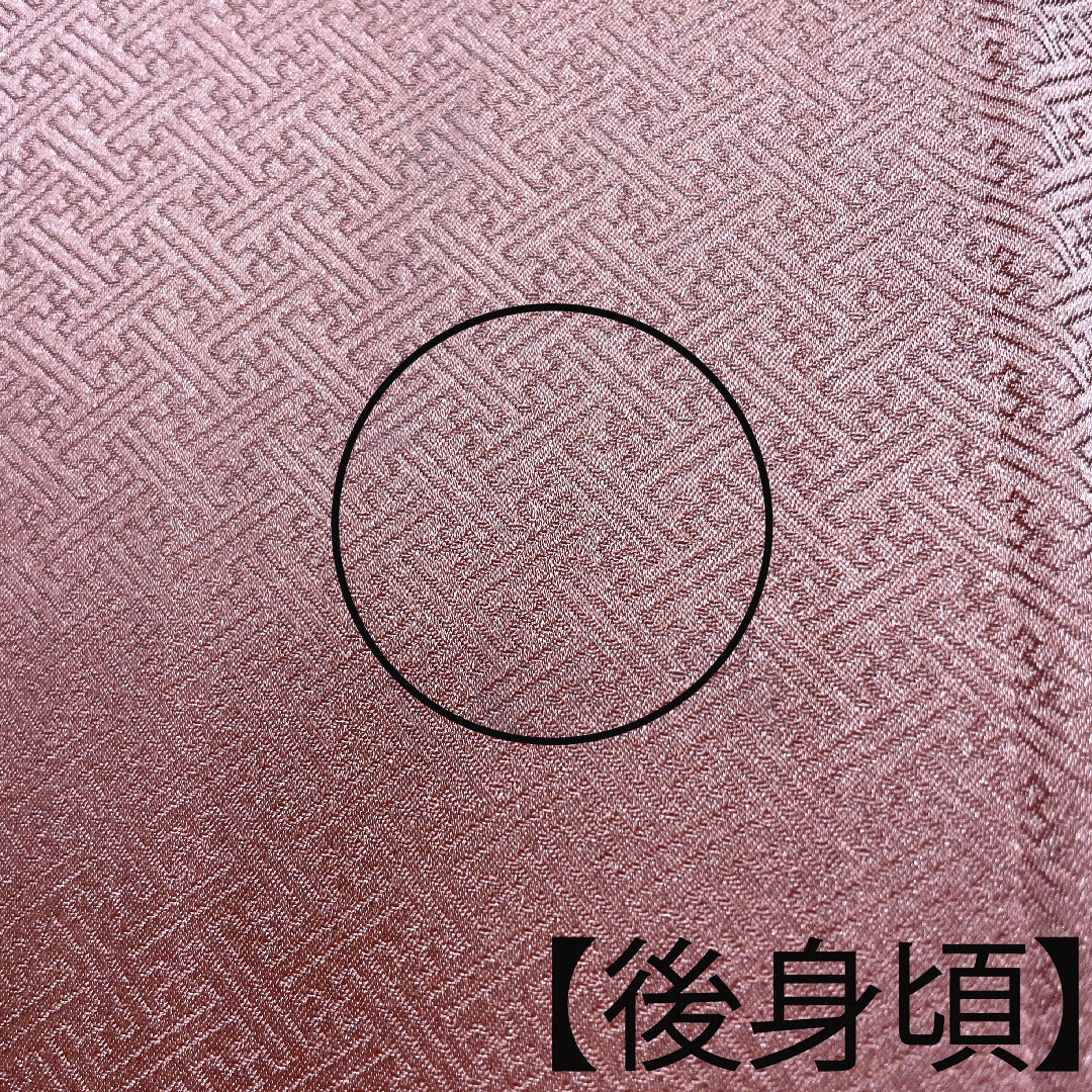 訪問着 正絹 袷 身丈161cm 裄丈63cm 珊瑚色 京友禅 菊 松 Aランク 橙系 1112002913426
