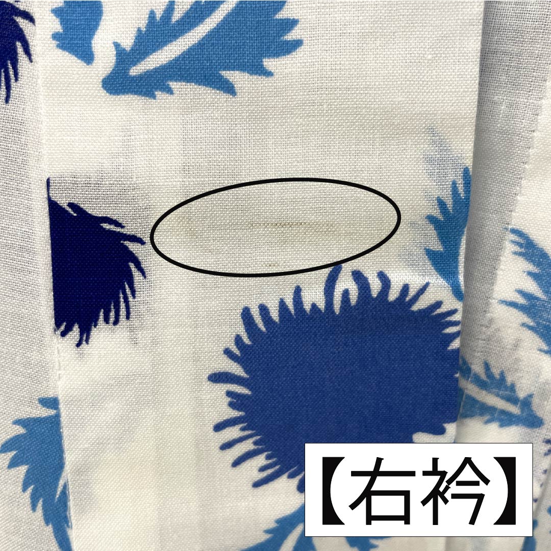 Cotton Yukata, Length 166cm, Sleeve Length 64.5cm, A Rank, Single Layer, White, Thistle Pattern, 1118006723511