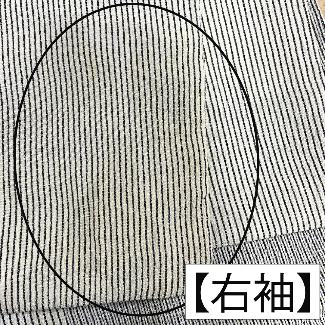 紬 正絹 Aランク 身丈154cm 裄丈62cm 乳白色（にゅうはくしょく） 塩沢紬 縞 袷 白系 1116004573211