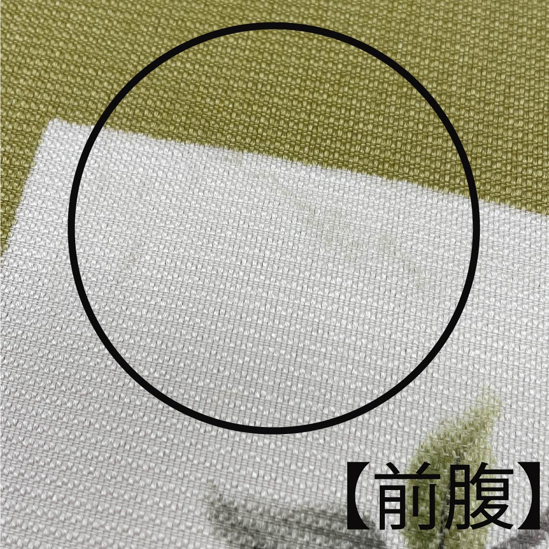 袋帯 梨子色（なしいろ） とんぼ 桔梗 染め帯 帯丈456cm 正絹 Aランク ポイント柄 カジュアル 緑系 1123008863419