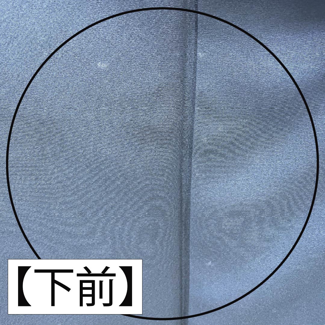 振袖 正絹 Aランク 身丈161cm 裄丈62.5cm 袷 印度藍色（いんどあいいろ） 京友禅 牡丹 紅葉 紺系 1113002833418