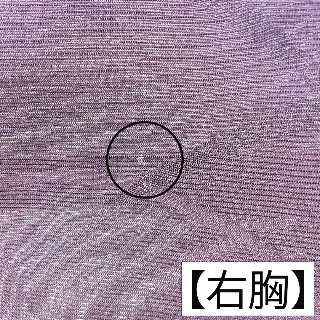 夏物 ポリエステル 色無地 Aランク 身丈158.5cm 裄丈65.5cm 紫烏色（しうしょく） 露芝 絽 紫系 1132004793320