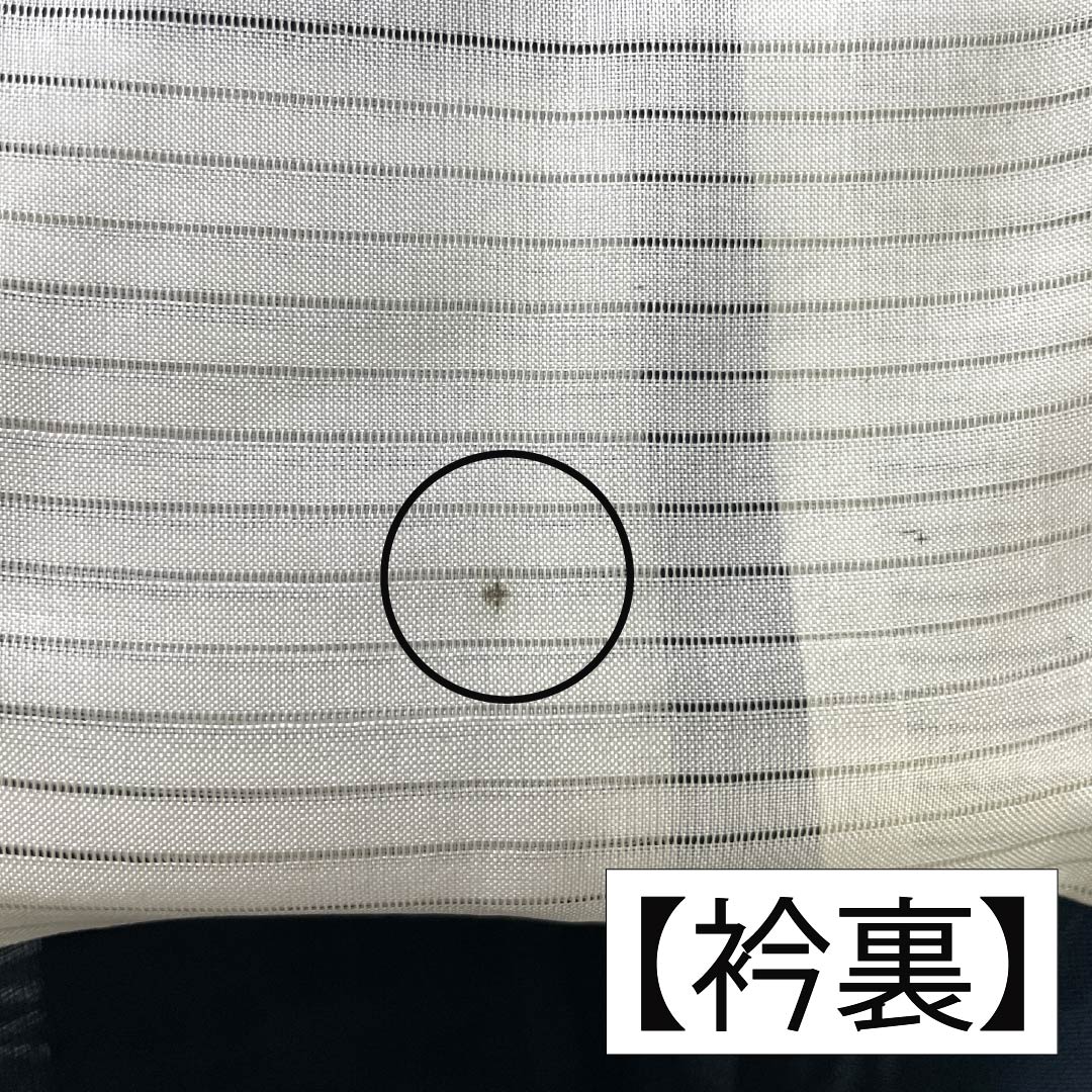 夏物 正絹 お召 Sランク 身丈157cm 裄丈64cm 濃紺色（のうこんいろ） 紫陽花 紗 紺系 1132004352318