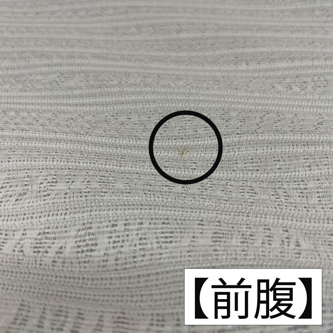 袋帯 正絹 乳白色色（にゅうはくしょくいろ） 蔦 葡萄 帯丈446cm Aランク ポイント柄 カジュアル 白系 1123012383311