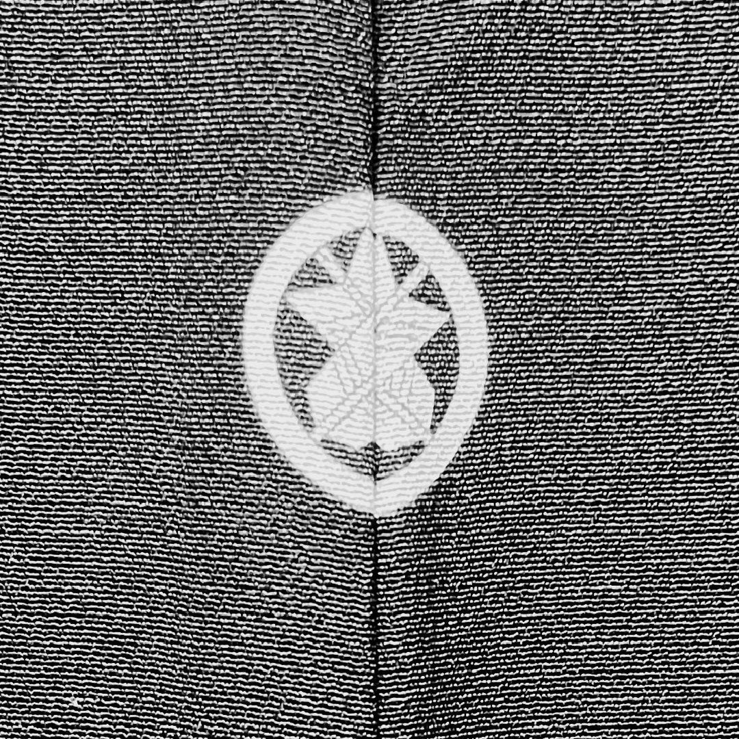 Black Tomesode, Length 158cm, Sleeve Length 63.5cm, Awase, Kyoto Yuzen, Landscape Pattern, Circle with Different Arrows, Pure Silk, A Rank, Five Crests, Black, 1111000833310