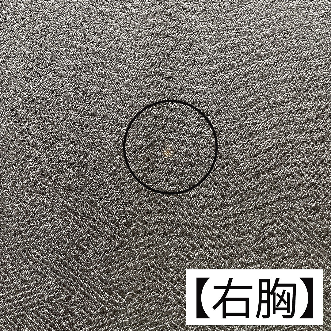 Homongi, pure silk, lined, length 164cm, sleeve length 63.5cm, indigo grey, partially dyed, cherry blossom, A rank, grey, 1112005773422