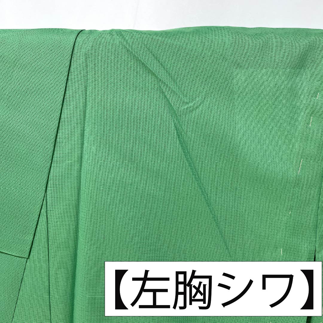 夏物 ポリエステル 色無地 Sランク 身丈159.5cm 裄丈66.5cm 琅玕色（ろうかんいろ） 洗える着物 素無地 絽 緑系 1132004212319