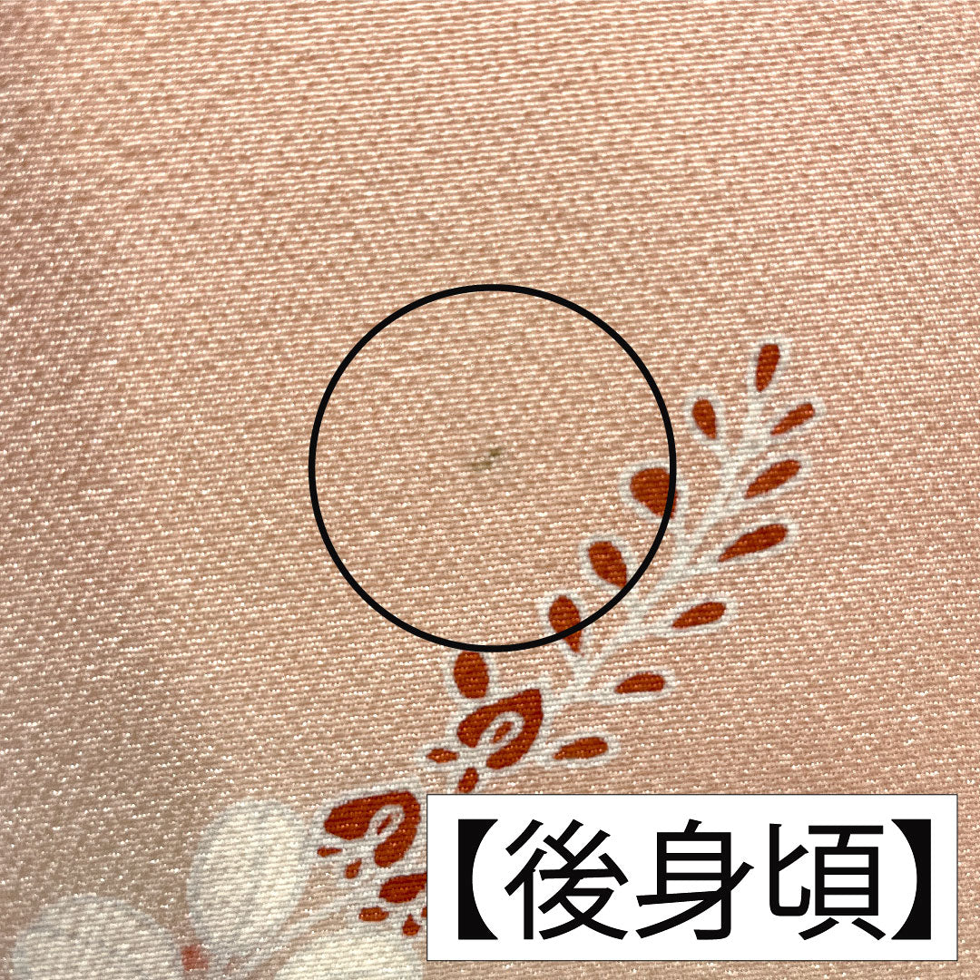 Homongi, pure silk, lined, length 156cm, sleeve length 61.5cm, Shinonome color, floral pattern, S rank, pink, 1112005732313